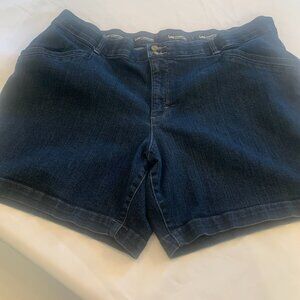 Lee Womens Denim shorts 22W